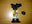 Jet Butane Lighter